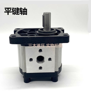 Pompe à engrenages hydraulique 25Mpa à arbre à clavette plate 1 étage CBN G304 G310 G314 G316 - Product Image 3