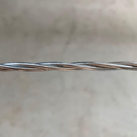 Fil d'acier galvanisé Fil d'acier plaqué de béton précontraint 12.7mm Précontrainte 49 brins en acier inoxydable