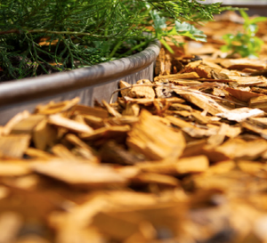 Virutas de Madera de Pino Cruda para Paisajismo - Product Image 5