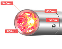 Nouveau stylo de luminothérapie rouge ciblée avec soulagement de la douleur et 4 LED pour usage domestique et commercial