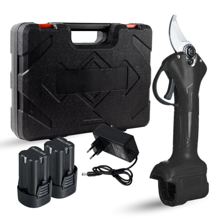 Best Price Outdoor Electric Telescopic Battery