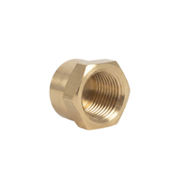 Bouchon de tuyau hexagonal femelle NPT en laiton, capuchon d'extrémité fileté NPT femelle pour l'étanchéité des conduites pneumatiques, d'eau, de gaz et d'huile