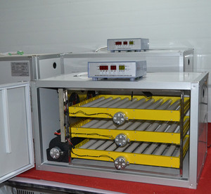 Incubateur à œufs entièrement automatique pour 300 œufs, incubateur à œufs de poulet de grande qualité pour 300 œufs - Product Image 1