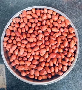 Semillas de Cacahuete 100% Naturales G20, Calidad de Exportación, Suministro a Granel para Productos Agrícolas, Precio de Mayoreo Más Vendido - Product Image 1