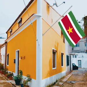 Wholesale 3x5ft Suriname flags 68D/100D polyester Customize all nations rapid shipping Reliable supplier fast delivery