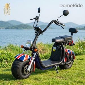 Vélo électrique tout-terrain Citycoco Harlem conforme CE <span class=keywords><strong>EMC</strong></span> EEC, double batterie lithium 20Ah, modèle Pro 1500W, pneus larges 200kg - Product Image 1