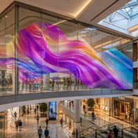 Écran d'affichage transparent LED, grille d'écran en plastique, pas de pixel de 6 mm, application intérieure, indice de protection IP45, fonction SDK pour le texte