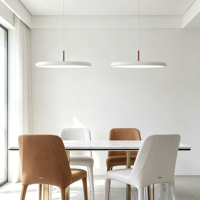 Suspension LED simple au design danois moderne, luminaire décoratif en fer pour plafond haut