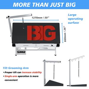 PTESPROOFING Hot Sale Elektrisches Heben Großer Hunde pflege tisch USB-Steckdosen schubladen für Katzen und Hunde für <span class=keywords><strong>Pet</strong></span> Salon Shops - Product Image 4