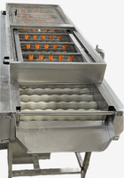 Équipement de lavage à rouleaux brosse pour oignons et ail, Laveuse à rouleaux brosse pour légumes à feuilles, Laveuse à rouleaux brosse pour céréales et graines