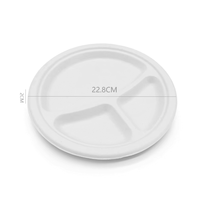 Assiette en bagasse de canne à sucre à 3 compartiments de 10 pouces, biodégradable, compostable, jetable, pour la vente en gros