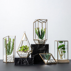 Terrario cerrado de vidrio para plantas suculentas geométricas, maceta para flores, reptiles con puerta - Product Image 6