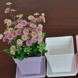 38 esktop Potted Succulent Mini lowerpot Home Seedling ursery Plant Pot arden Small Square Plastic lower Pots Planters