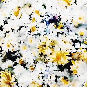 Tela Satén 100% Algodón Tejida e Impresa Personalizada para Prendas, Vestidos de Mujer, Niñas y Niños, de Alta Calidad, Suave al Tacto y Antiestática - Product Image 1