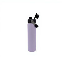 Bouteille d'eau isotherme à double paroi, sans BPA, 750 ml (24 oz), avec couvercle anti-fuite, paille et poignée, portable pour la salle de sport, les voyages et les activités de plein air.