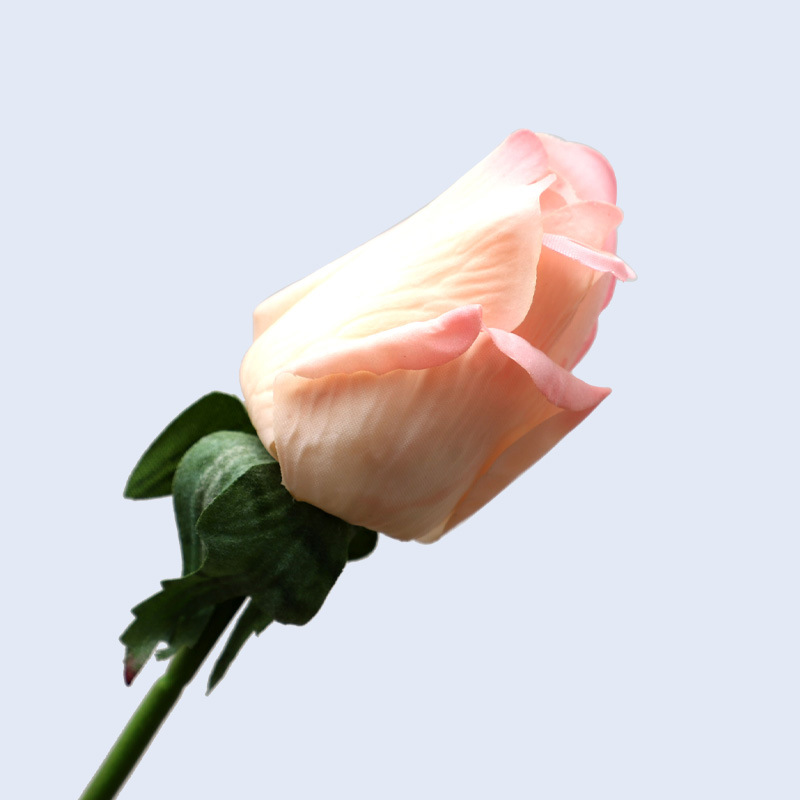 Pink2