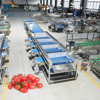 Máquina Clasificadora de Frutas y Verduras Azul Marca KEHONG 40001100900, Dimensiones 200KG de Peso
