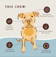 Multivitamines pour chiens et chats avec EPA et DHA, comprimés à mâcher pour la peau, le pelage et le soutien immunitaire
