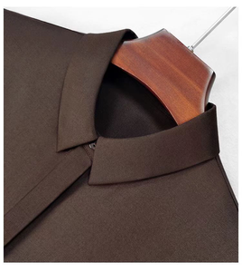 OOTN 2024, blusas informales de manga larga para mujer, de cintura alta Camisa de algodón con cuello vuelto, patrón Vintage sólido, logotipo tejido en la espalda - Product Image 5