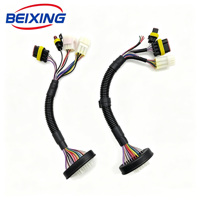 A00109 BeiXing Connecteur de voiture IP66 Faisceau de câbles Conducteurs en cuivre étamé 24 broches Personnalisé pour automobiles et motos