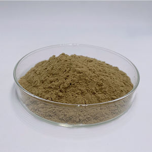 Extracto de Cactus orgánico puro, extracto de Cactus en polvo, <span class=keywords><strong>Hoodia</strong></span> <span class=keywords><strong>Gordonii</strong></span>, suministro de fábrica - Product Image 2