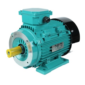 มอเตอร์อะซิงโครนัสแบบสามเฟส รุ่น YE3-315L1-2 กำลัง 160 กิโลวัตต์ 215 แรงม้า 380 โวลต์ AC - Product Image 2