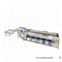 Machine de triage des fruits agricoles (pommes, ananas, durian, poires, bananes, oranges)
