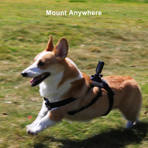 <span class=keywords><strong>Camera</strong></span> hành động thể thao SJCAM C100 Plus 4K 30M chống nước, WiFi 2.4G, EIS, tầm nhìn ban đêm, tương thích thẻ nhớ MicroSD, dành cho mũ bảo hiểm xe đạp - Product Image 5