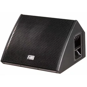 12 "Professionele Speakers Coaxiale Stage Monitor