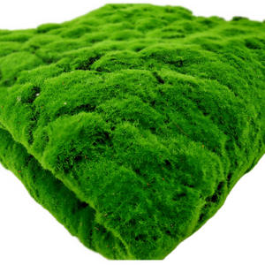 Vente en gros de tapis en <span class=keywords><strong>mousse</strong></span> artificielle pour décoration d'intérieur en plastique synthétique Tapis en <span class=keywords><strong>mousse</strong></span> pour gazon artificiel vert - Product Image 1