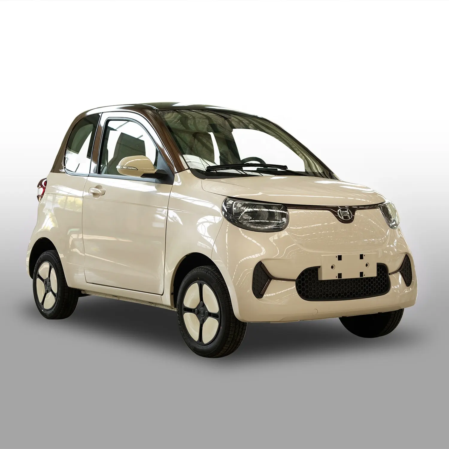 China Mini Auto Twee Deur Kleine Mini Elektrische Ev Auto Voor Volwassen Tweezits Mini Auto Voertuigen Elektrische