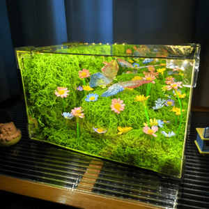 Caja de Regalo Divertida <span class=keywords><strong>para</strong></span> Cumpleaños de Novia, Creativa, con Mariposas de Primavera, Hecha a Mano, Luz Nocturna Pequeña de Madera, Color Personalizado, Moderna - Product Image 3