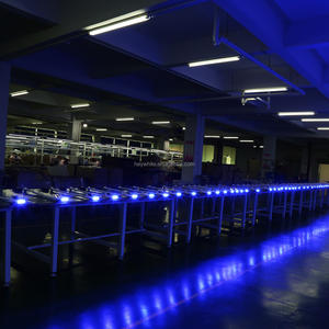 Sbiancante Dentale/Lampada LED Blu 6 Pezzi/Lampada per Sbiancamento Denti, Macchina per Sbiancamento Dentale, Prodotti per Salone di Bellezza - Product Image 4