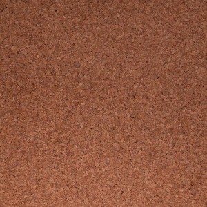 Native Earth 04 - Paneles de Pared de Corcho Premium - Paneles Acústicos y Decorativos Ecológicos a Precio de Mayoreo - Product Image 2