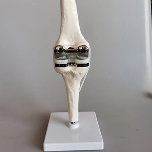 Modèle d'articulation du genou artificielle, modèle artisanal pour l'enseignement médical - Product Image 2
