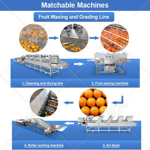 Máquina Clasificadora de Frutas HNOC para Mandarinas, Arándanos, Cebollas y Patatas, Clasificadora de Tamaño por Rodillo - Product Image 5