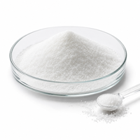 Poudre de Sucralose Hydrosoluble E955, Édulcorant Haute Intensité pour Jus et Boissons, Vente en Gros, Approvisionnement Direct Usine