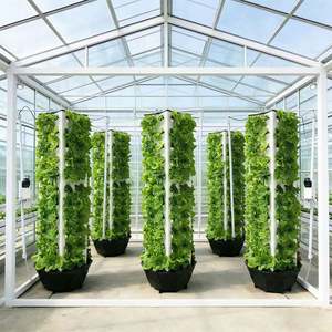 Sistema de Torre Hidropónica de Cinco Niveles, Torre de Cultivo Vertical sin Suelo, Equipo Hidropónico Modular África - Product Image 2