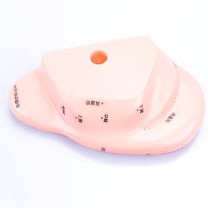 Akupunktur Auricular noktaları için bulut ve ejderha çift kulaklar modeli Uesd akupunktur noktaları ile silikon kauçuk kulaklar modeli - Product Image 3