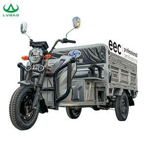 รถสามล้อแบบมีห้องโดยสาร LB-LB160GY ผลิตอย่างมืออาชีพ พร้อมมอเตอร์กำลังสูง 60V1000W - Product Image 5