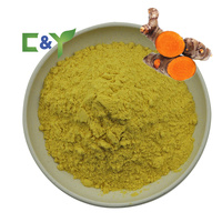 Approvisionnement d'usine de haute qualité meilleur prix extrait de curcuma 98% poudre de curcumine 100% extrait de curcuma naturel 95% poudre de curcumine