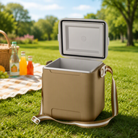 Glacière Moderne Écologique 10L Couleur Personnalisable pour le Camping, le Stockage de Canettes et de Vin avec Rétention de Glace de 24h