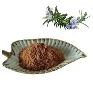 10:1 20:1ローズマリーリーフエキス粉末10% 50% ウルソール酸抗酸化サプリメント製造用 - Product Image 1