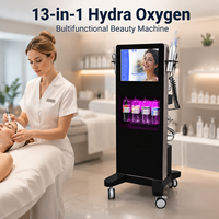 Appareil de beauté Hydra Oxygène 13-en-1 pour soins du visage, équipement esthétique pour spa et salon