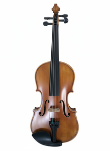 Miaosenguang Người Mới Bắt Đầu Violin Mô Hình Vl3 Matte Kết Thúc Bán Buôn Giá Rắn Spruce Top/Bên Gỗ Trở Lại Mun Fingerboard - Product Image 2