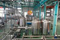 1000 Kg/u Volautomatische Mangosap Productielijn Fruitpulp Maken Verpakkingsmachines Kesar Mango Pulp Fabrikant