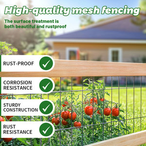 Black PVC Coated 16 Gauge Welded <b>Wire</b> <b>Mesh</b> Fence 2x3 Inch Grid 36 Inch X 50 Ft Roll for Garden Animal Barrier USSANXING Brand - Product Image 4