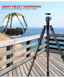 Trépied d'appareil <span class=keywords><strong>photo</strong></span> de prise de vue léger trépied en Fiber de <span class=keywords><strong>carbone</strong></span> accessoires d'appareil <span class=keywords><strong>photo</strong></span> professionnel numérique universel support <span class=keywords><strong>Photo</strong></span> - Product Image 3