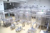 Eenvoudige Bediening Citroenpoeder Maken Machine Fruit En Groentepoeder Verwerkingslijn