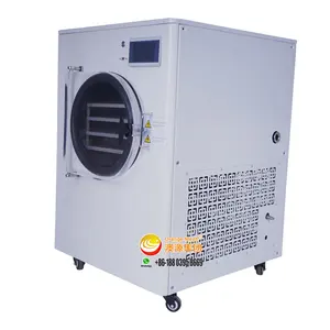 4Kg 5kg 6Kg Small Freeze Dryer / Vacuum Liofilizador For Home Use